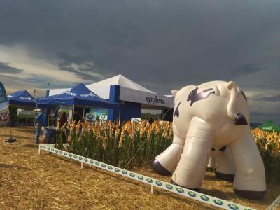 Dia de Campo da Coprossel teve uma Ã³tima participaÃ§Ã£o dos associados